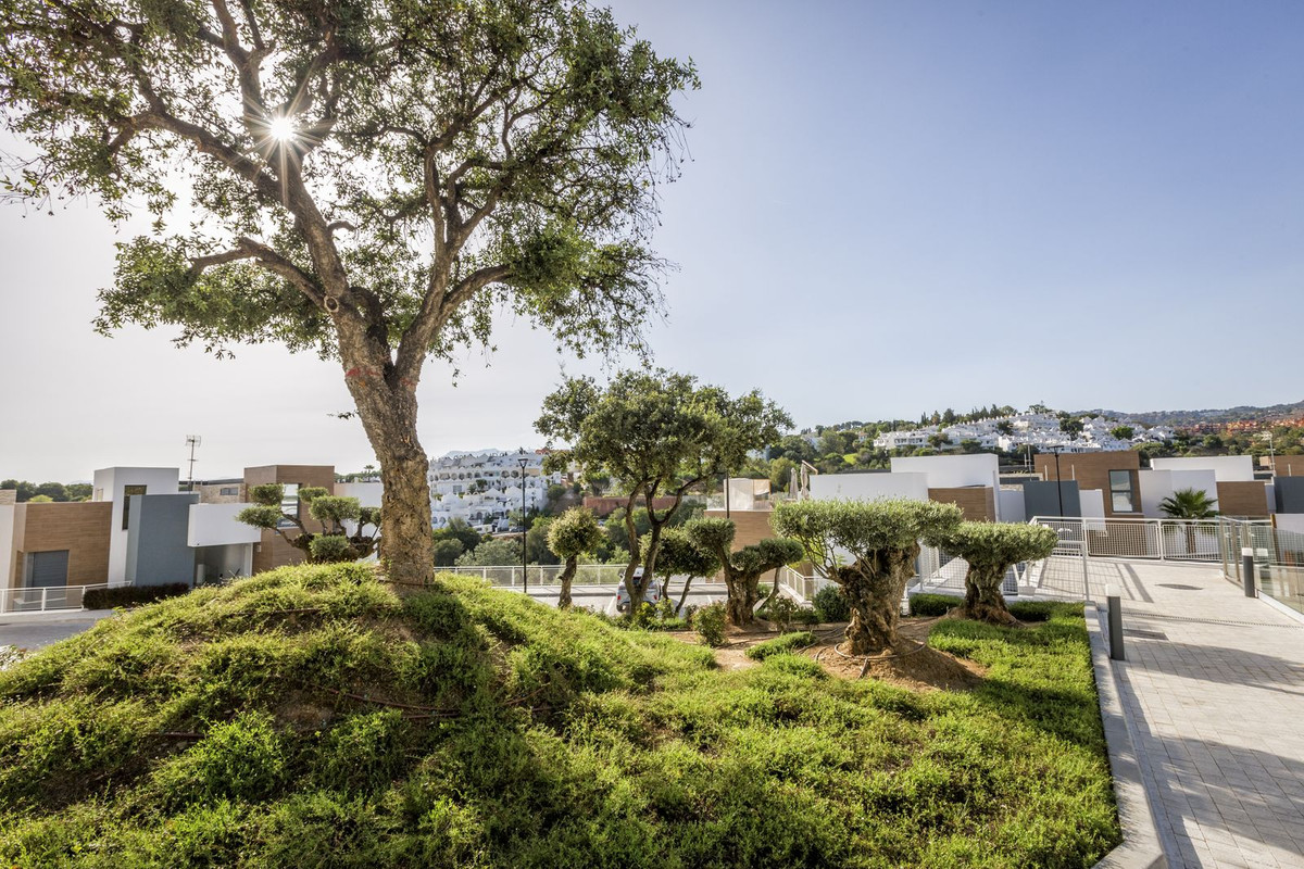Ground Floor Apartment bilde 20
