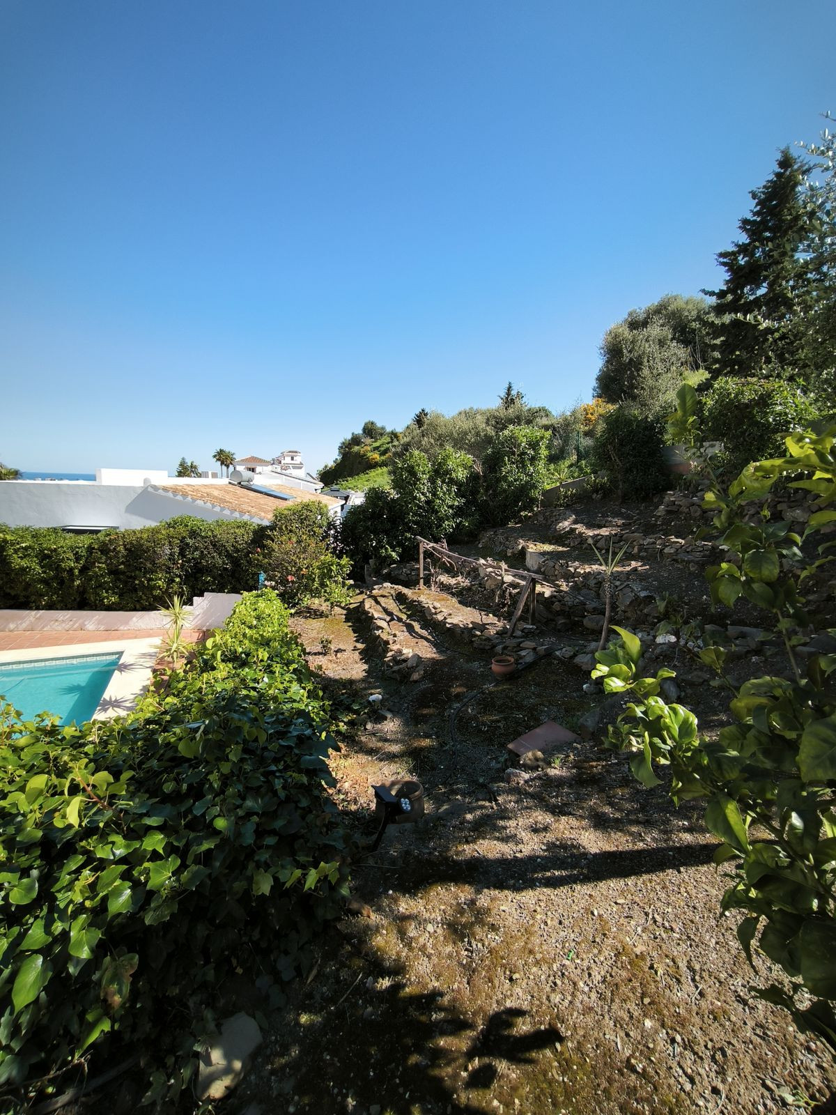 Detached Villa bilde 46