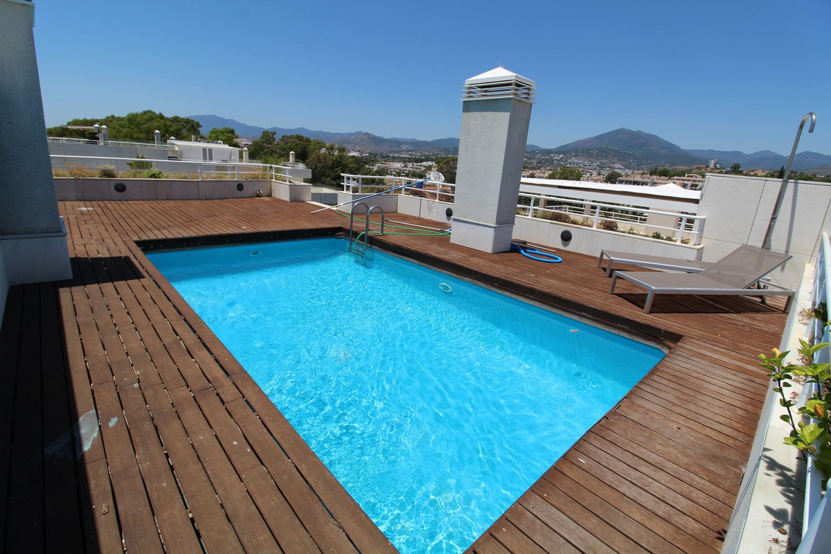 Penthouse bilde 5