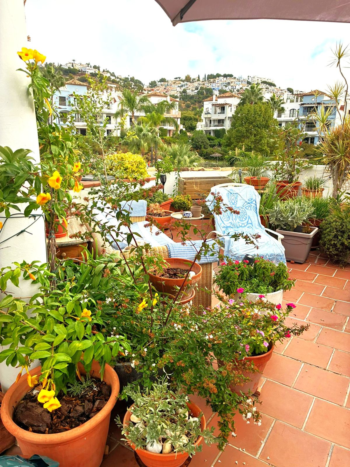 Penthouse bilde 105