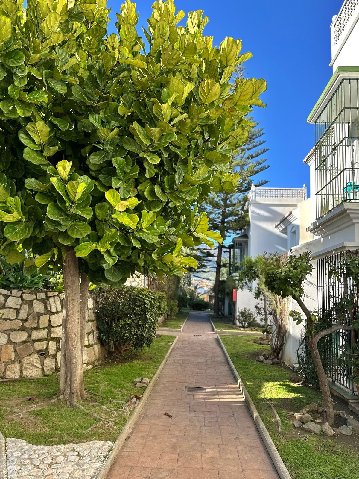 Ground Floor Apartment bilde 24