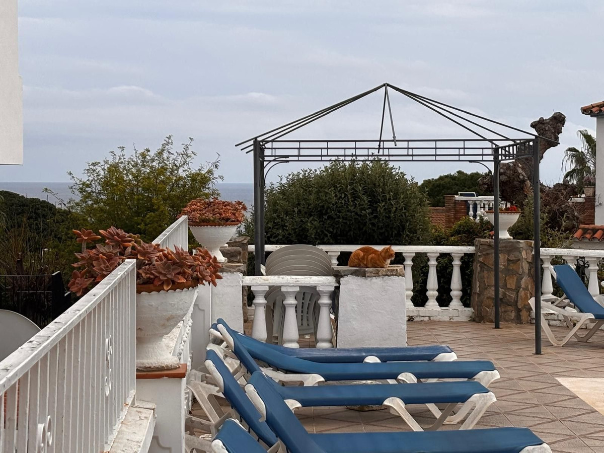 Top Floor Apartment bilde 29