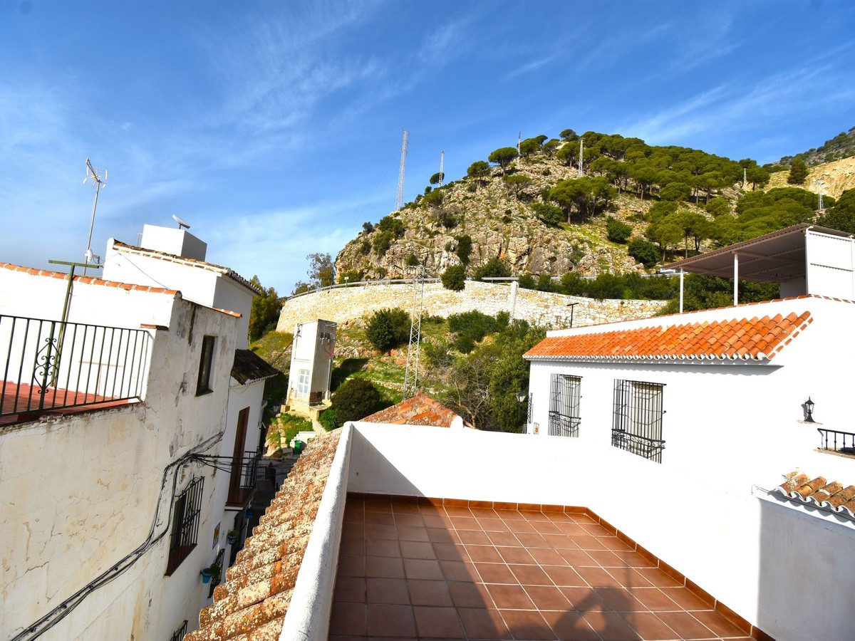 Penthouse bilde 19