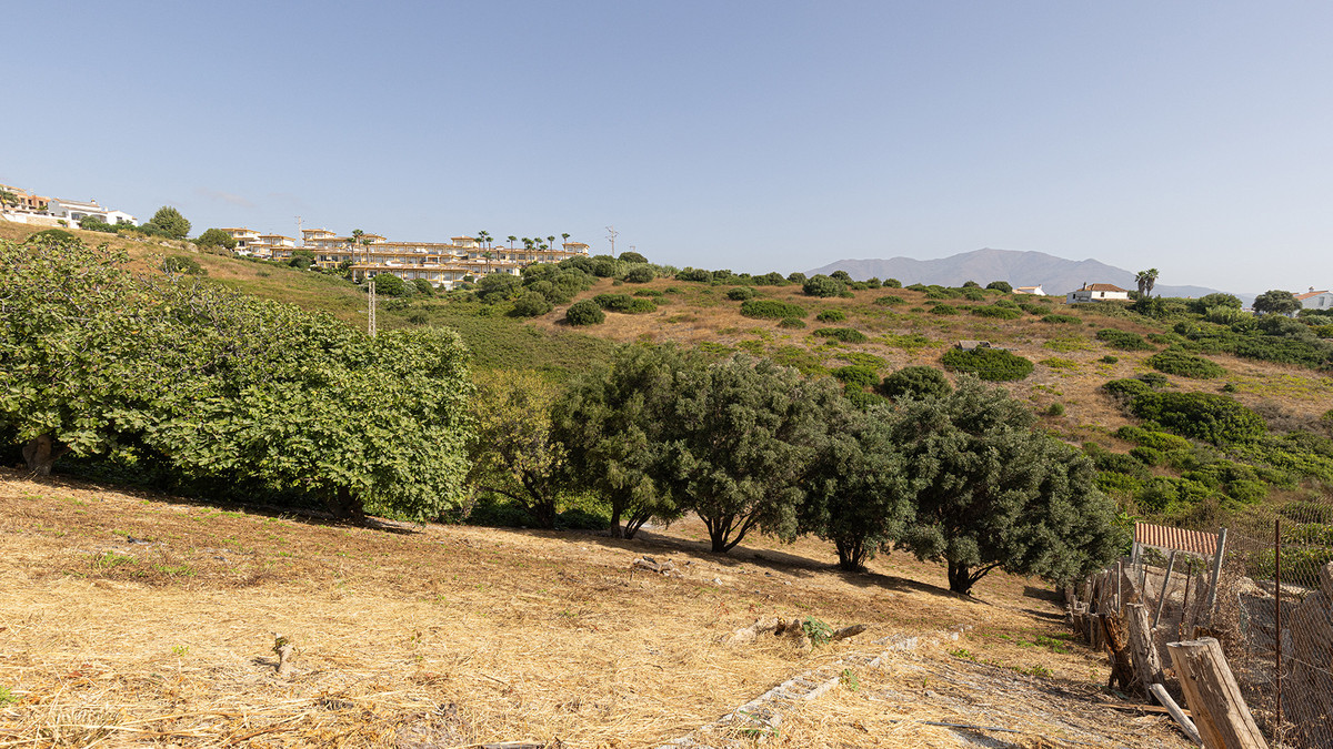 Detached Villa bilde 39