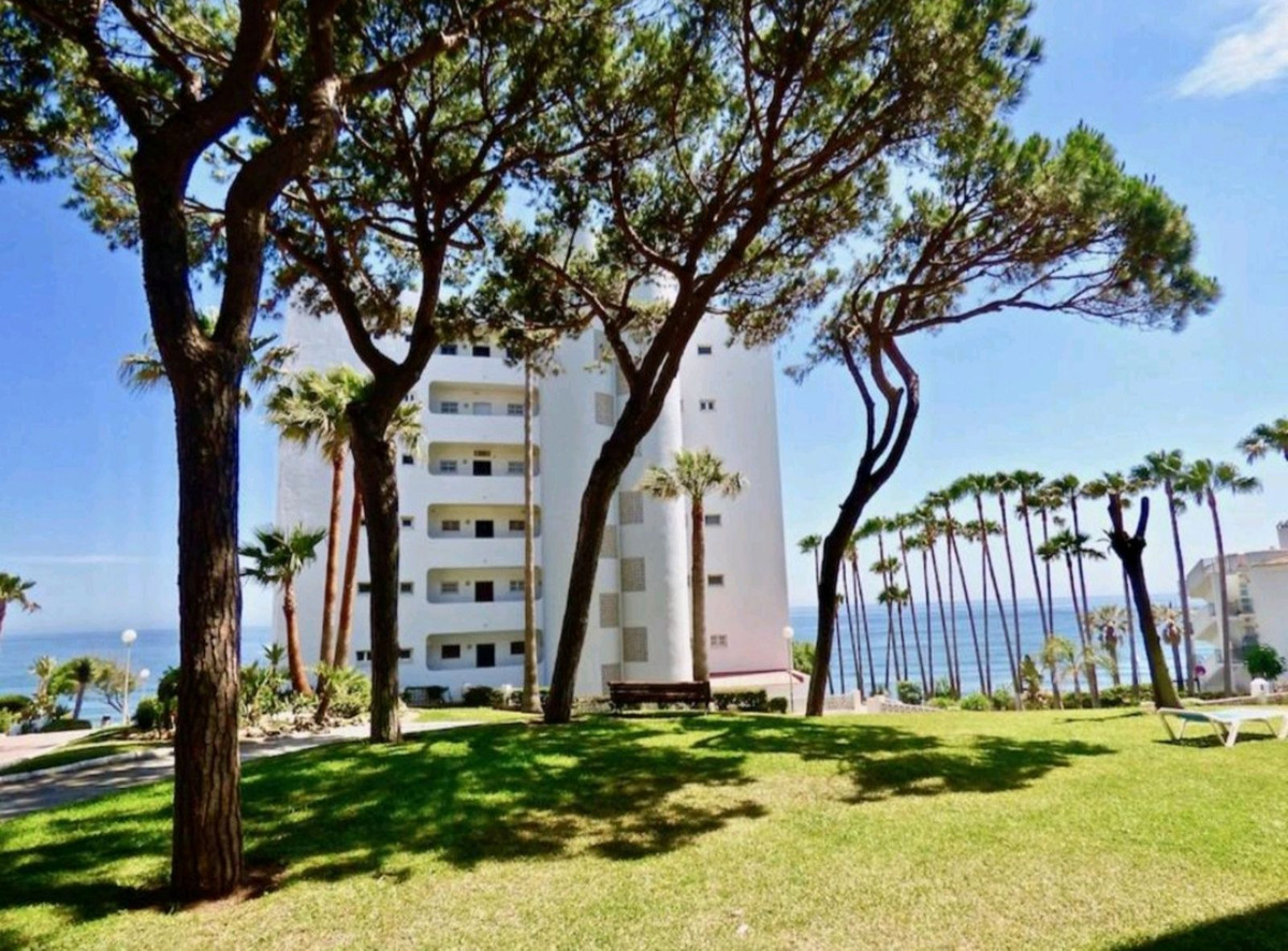Middle Floor Apartment bilde 11