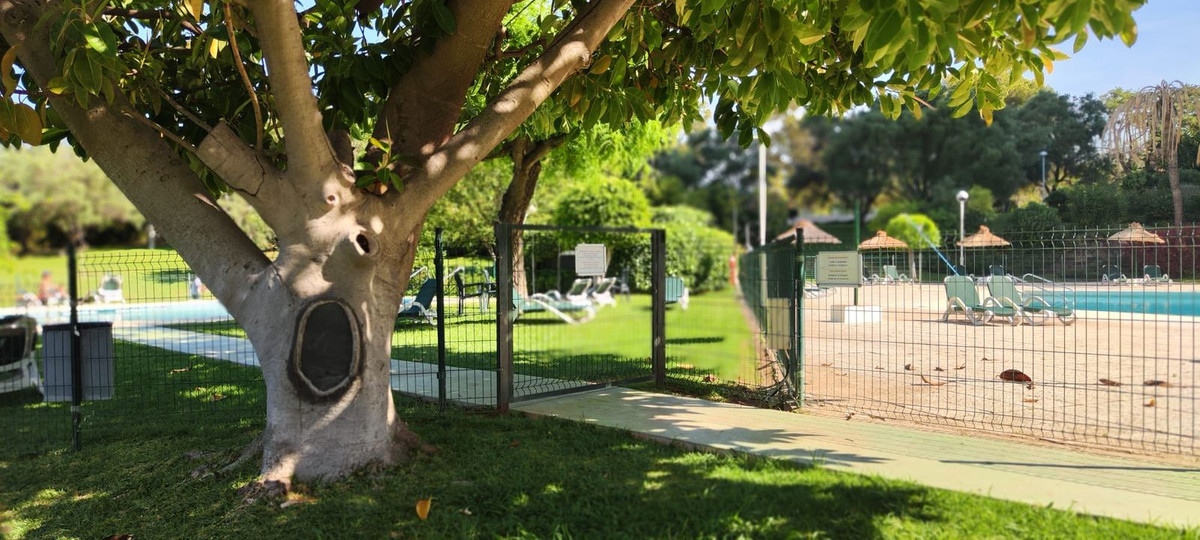 Ground Floor Apartment bilde 50