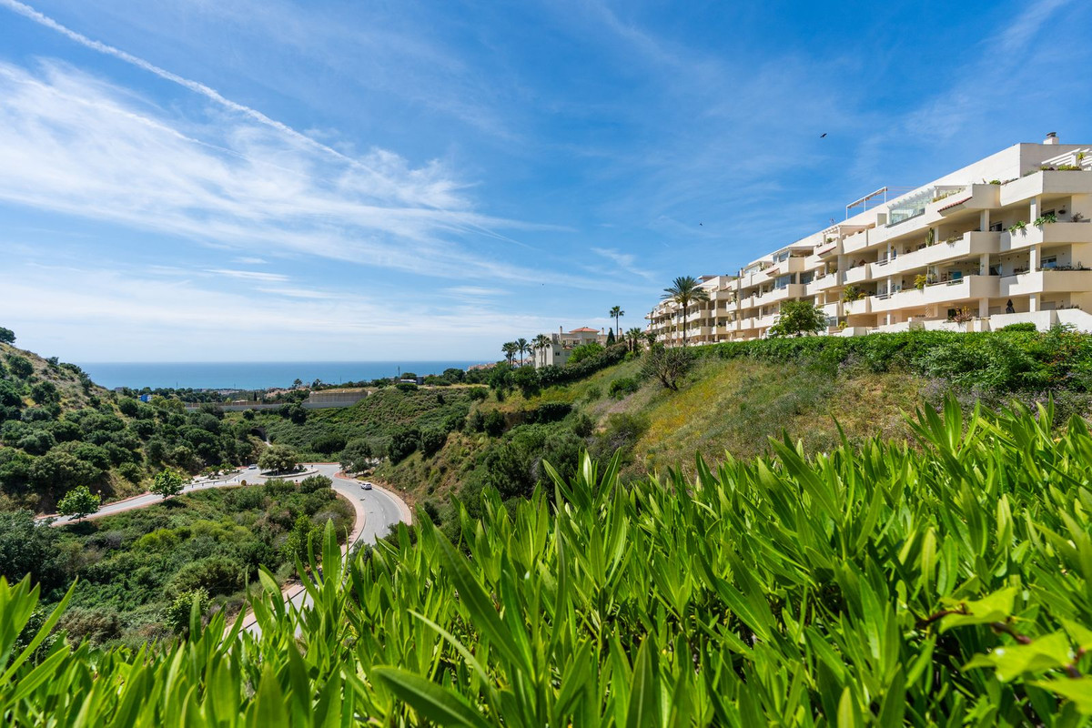 Penthouse bilde 18