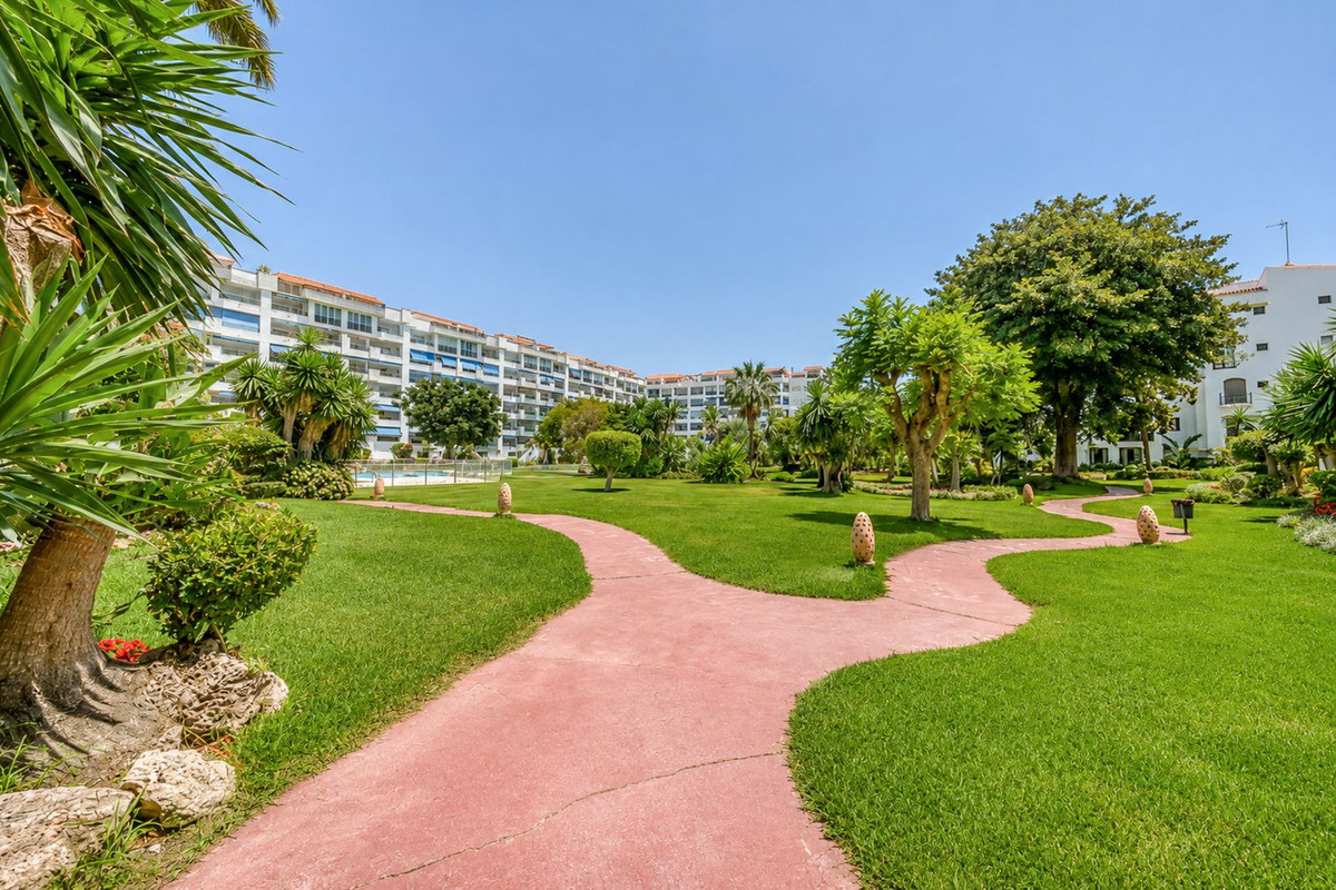 Middle Floor Apartment bilde 1