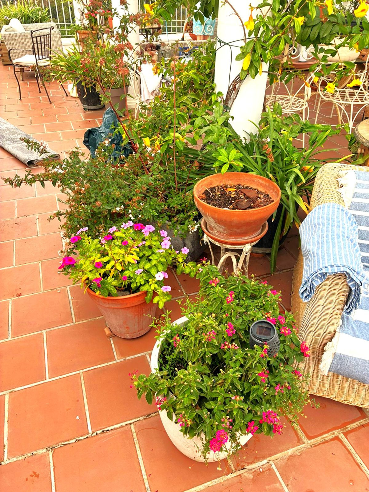 Penthouse bilde 108