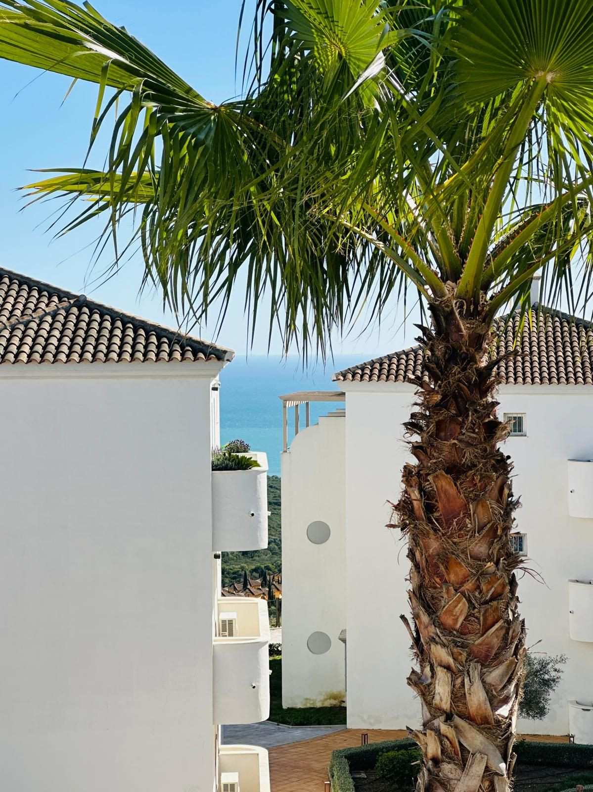 Middle Floor Apartment bilde 12