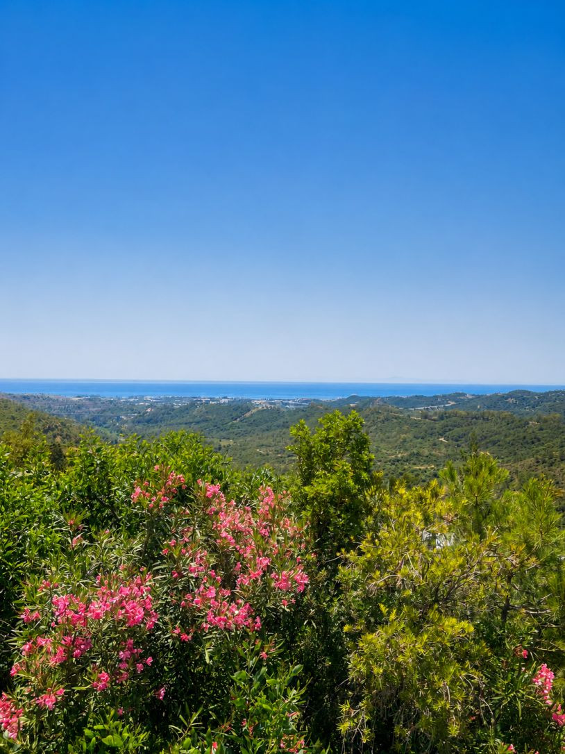 Detached Villa bilde 5