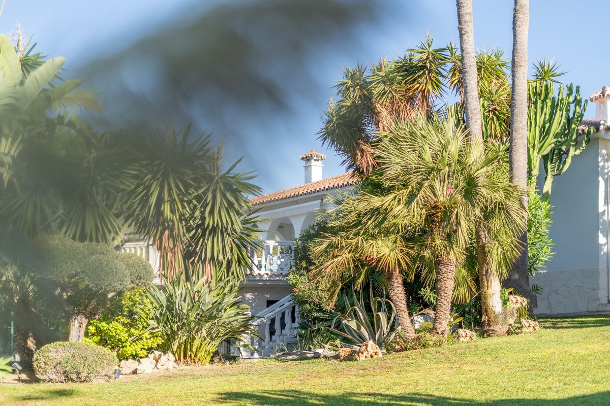 Detached Villa bilde 29