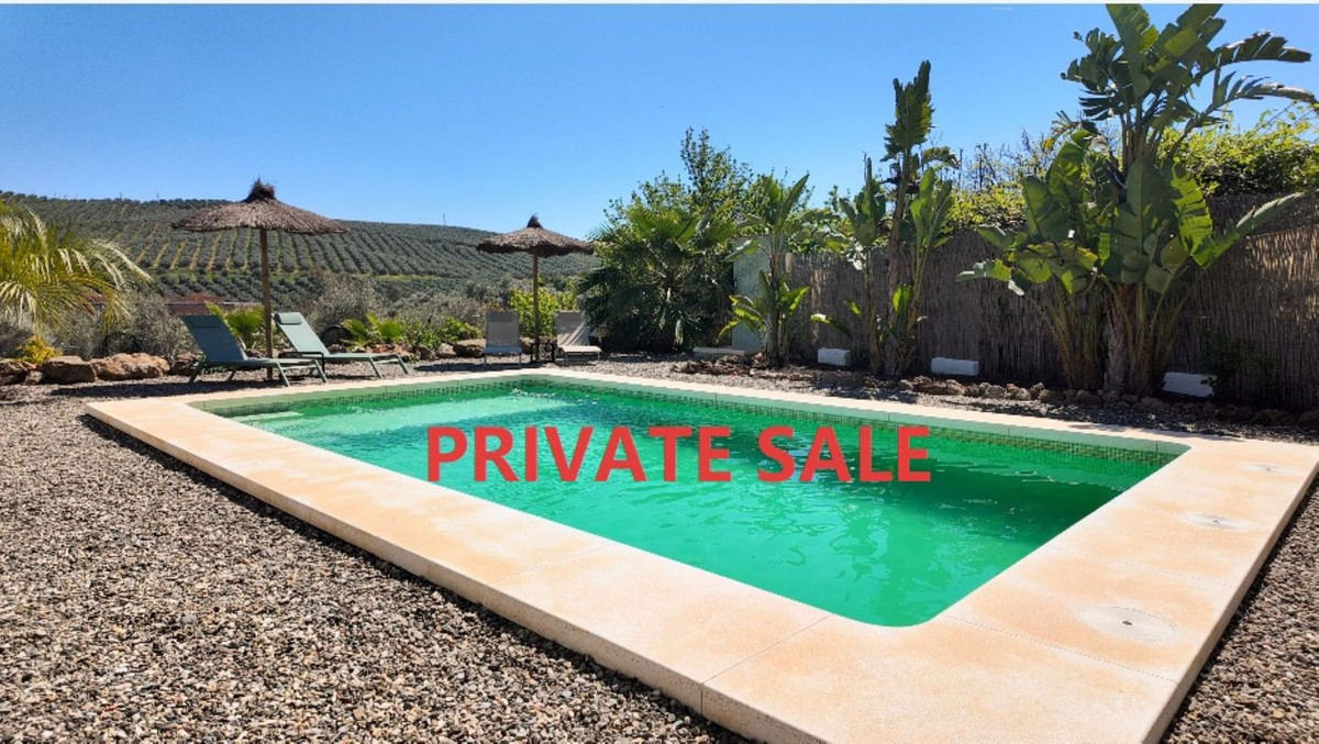 Finca - Cortijo