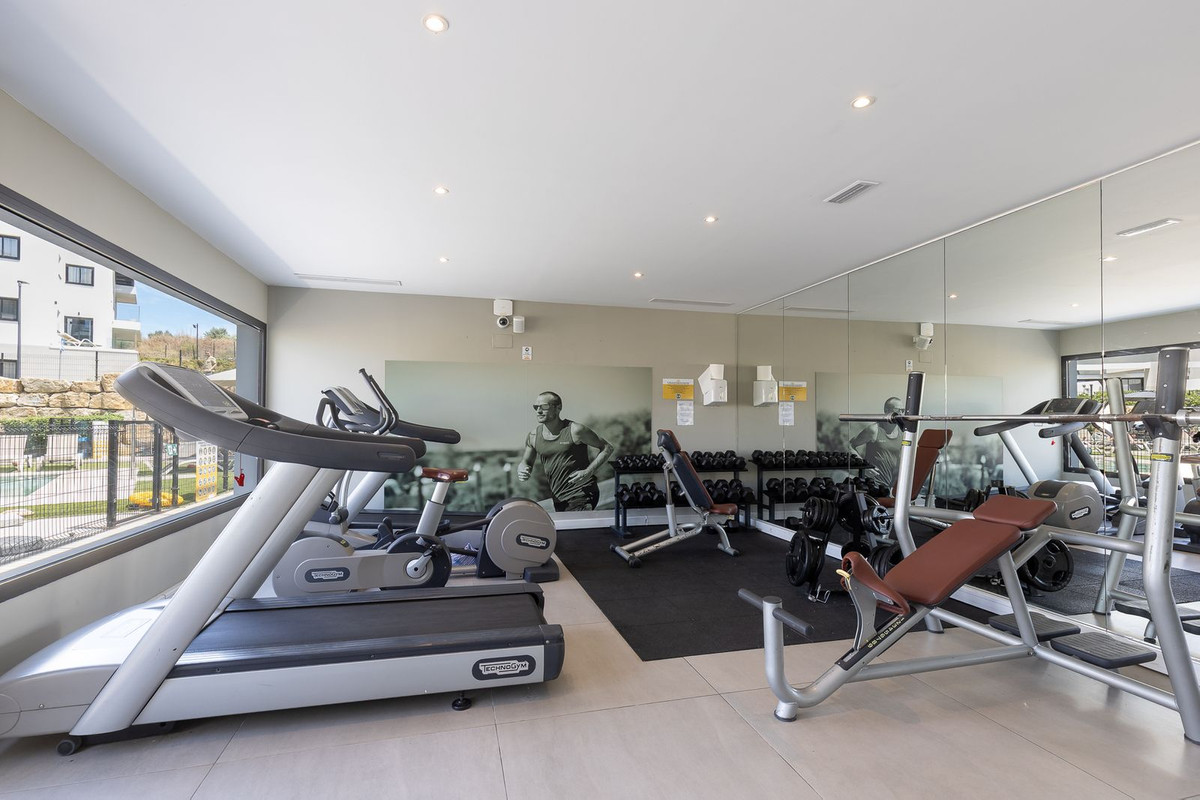 Penthouse bilde 26