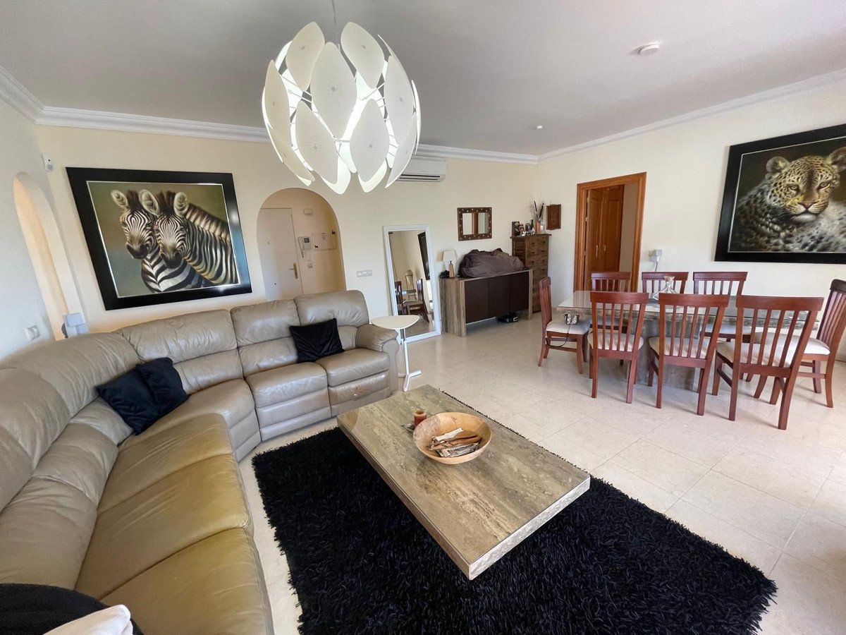 Penthouse bilde 36