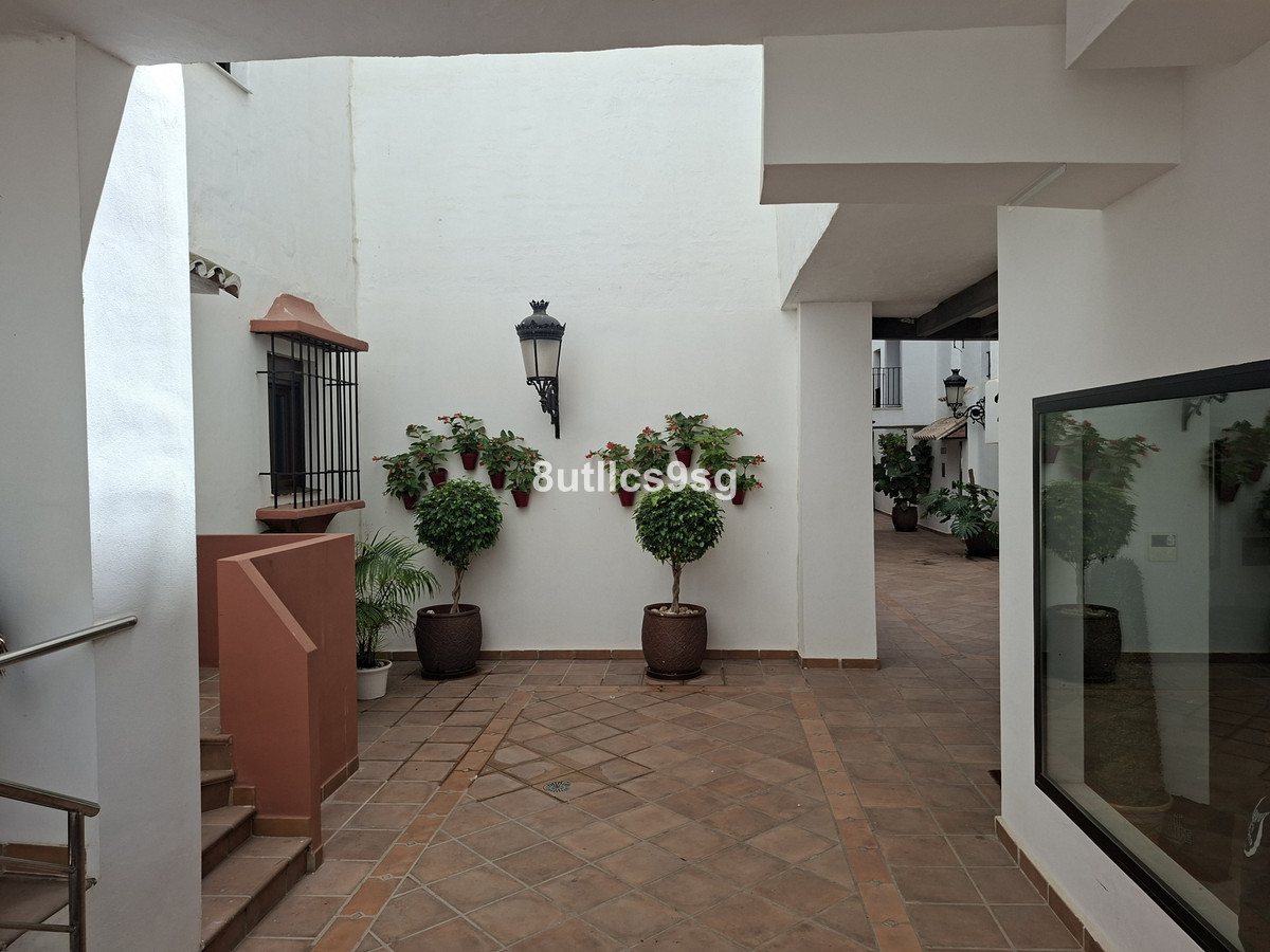 Penthouse bilde 32