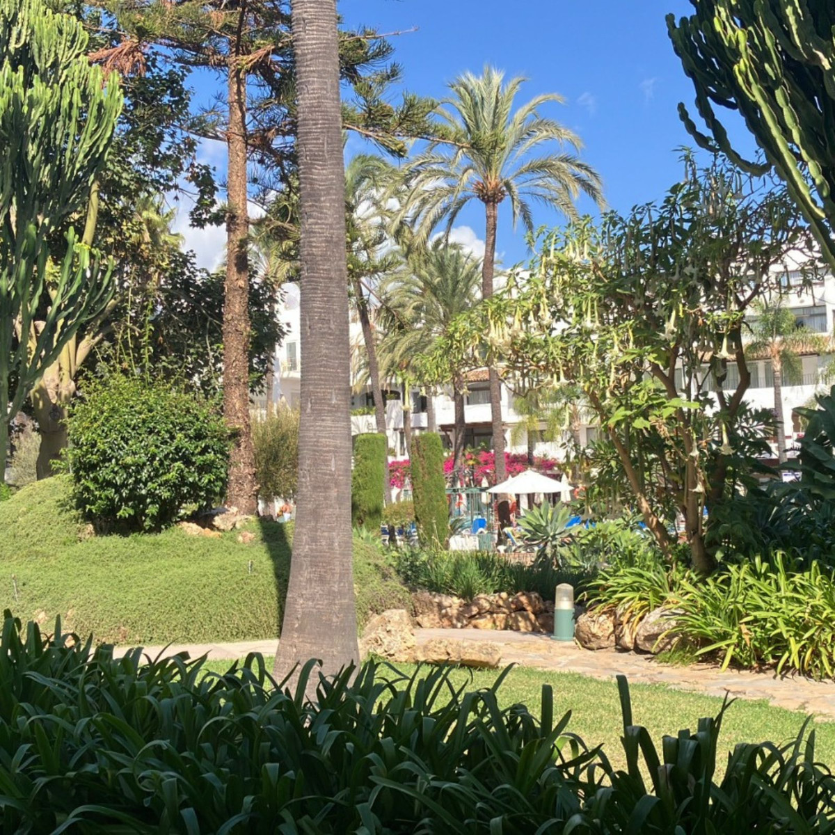 Ground Floor Apartment bilde 7