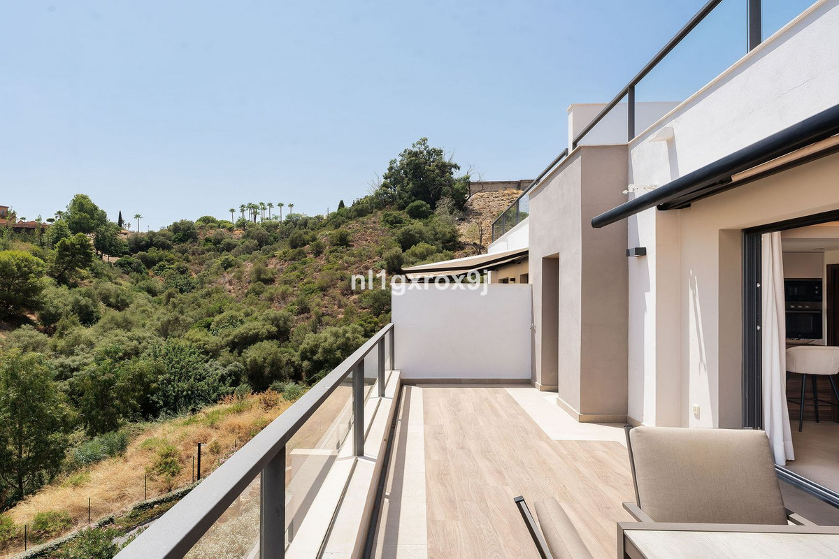 Penthouse bilde 24