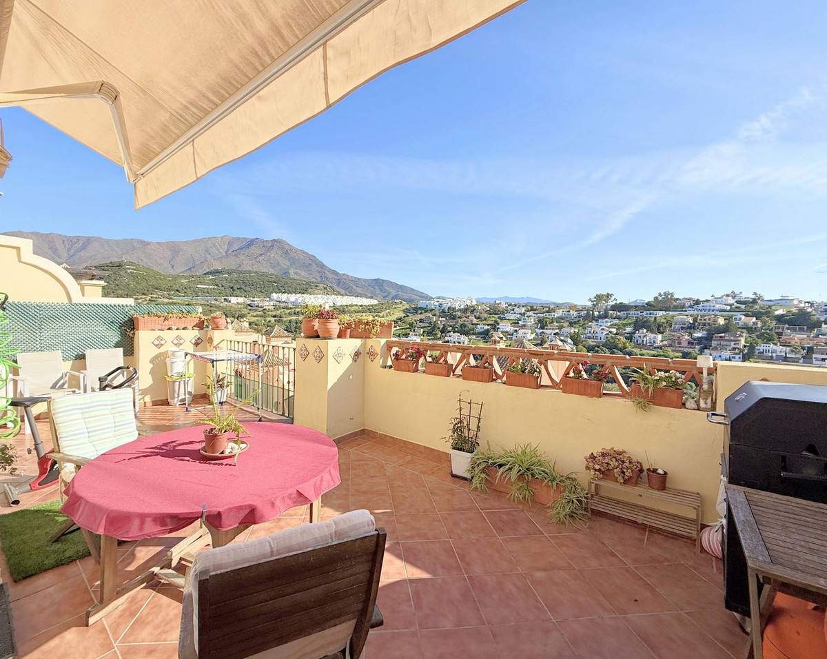 Penthouse bilde 5
