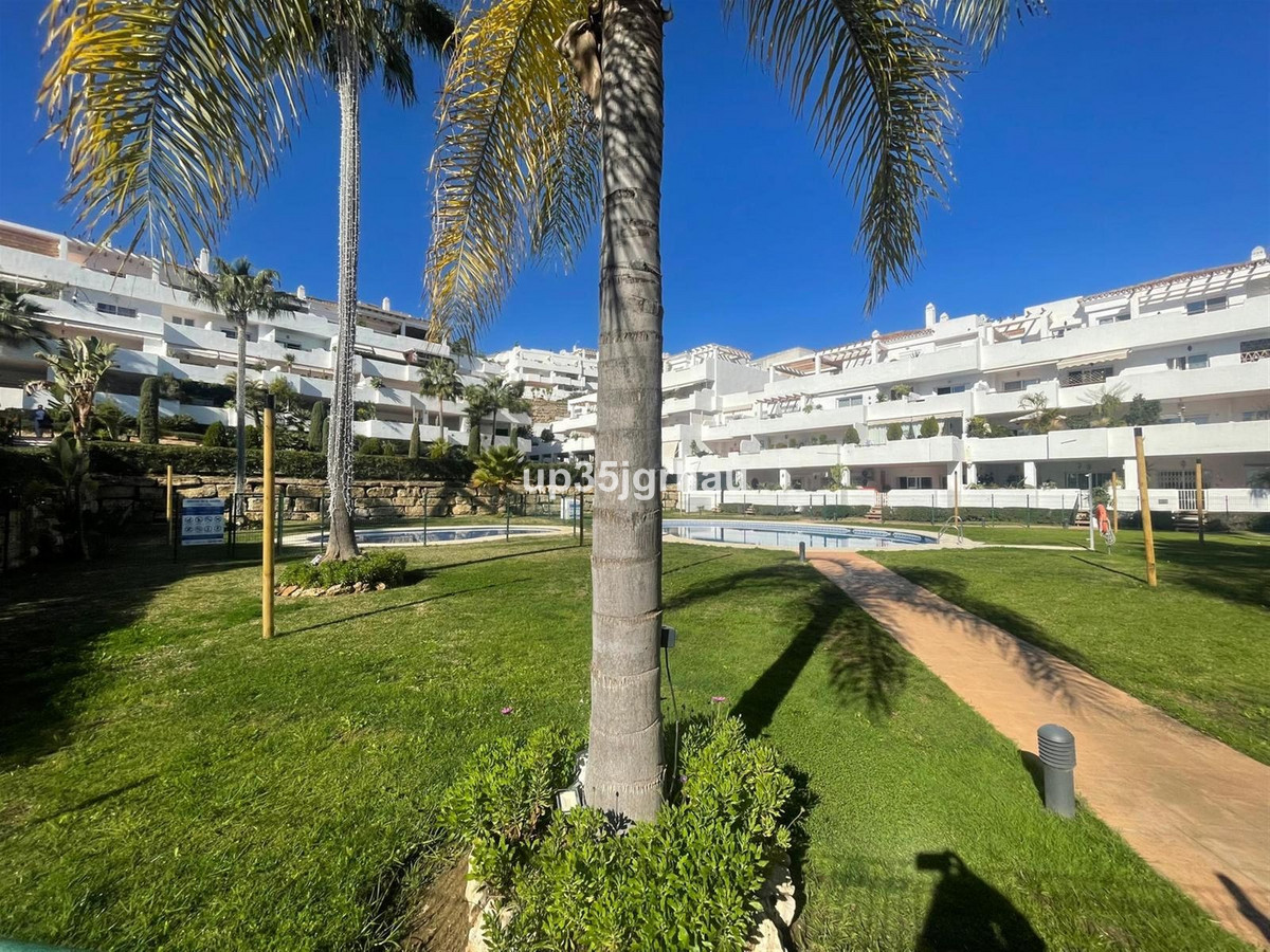 Penthouse bilde 2