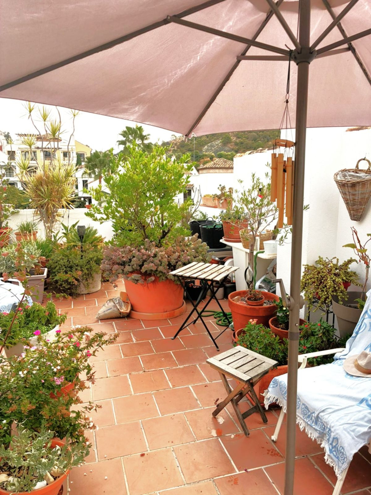 Penthouse bilde 104
