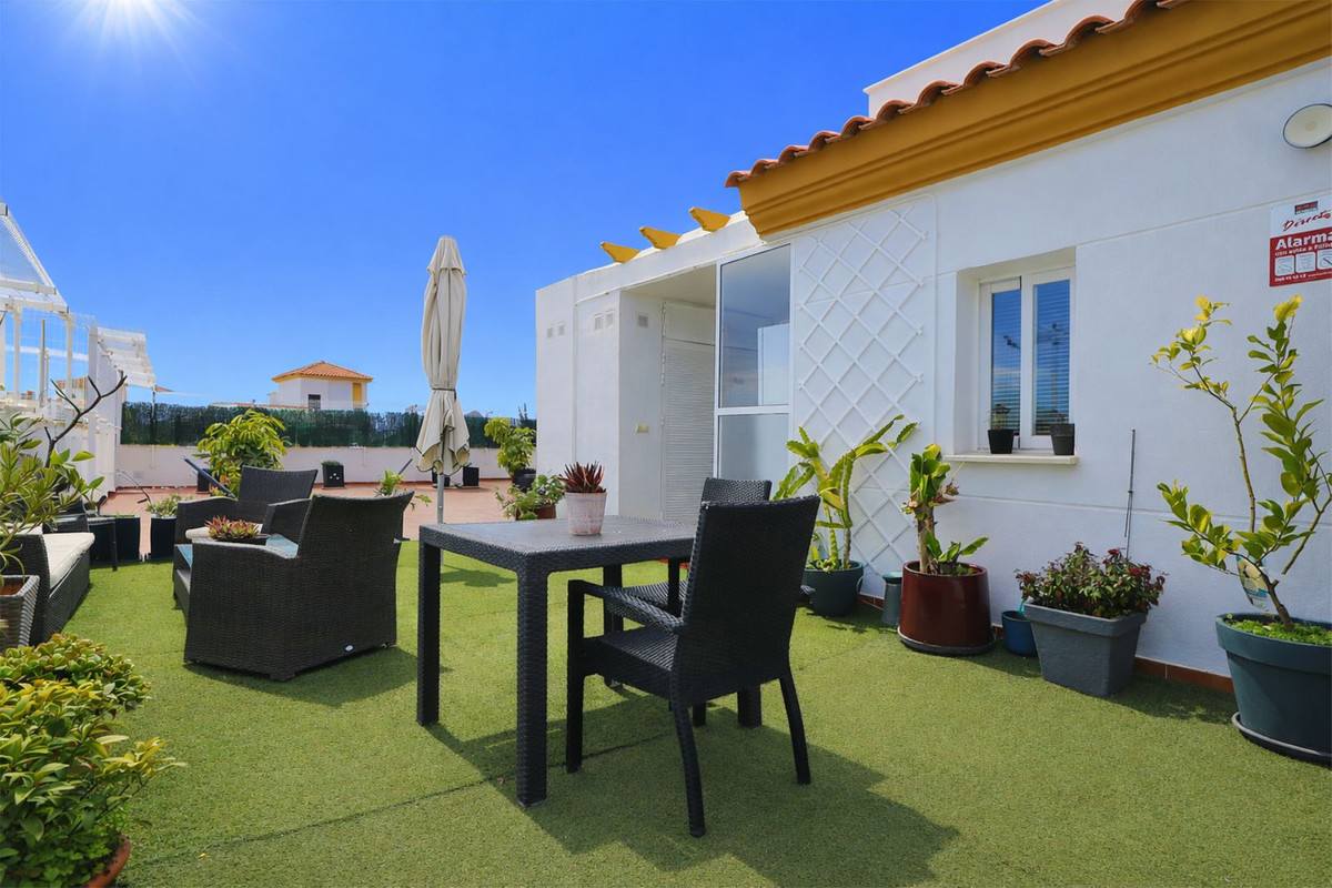 Penthouse bilde 24