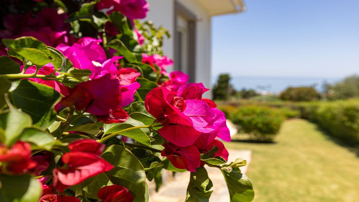 Detached Villa bilde 46