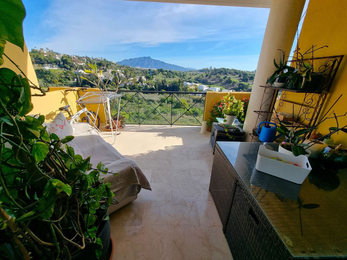 Top Floor Apartment bilde 6