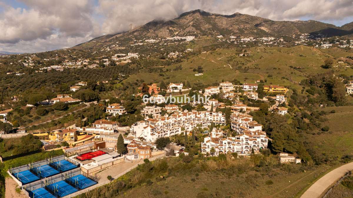 Penthouse bilde 30