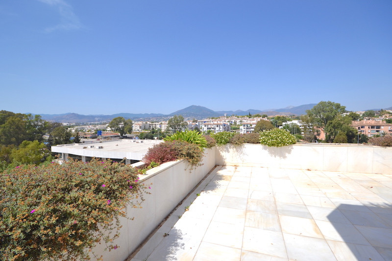 Penthouse bilde 17