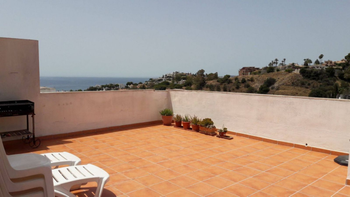 Penthouse bilde 18