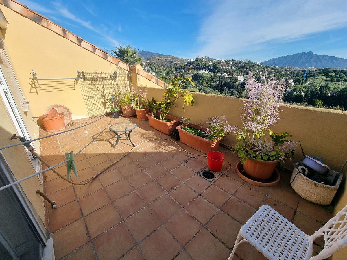 Top Floor Apartment bilde 9