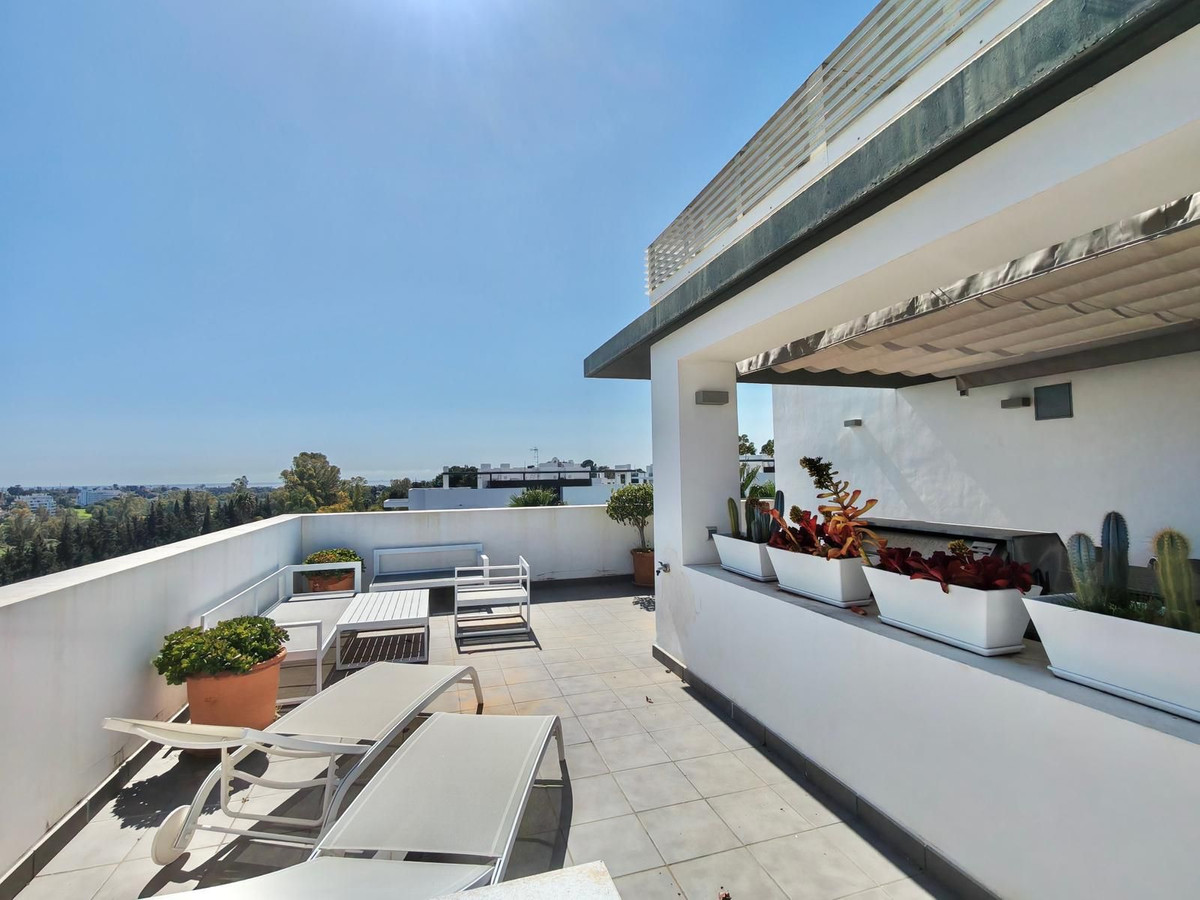 Penthouse bilde 4