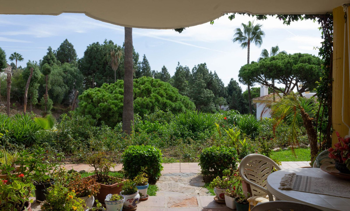 Ground Floor Apartment bilde 3