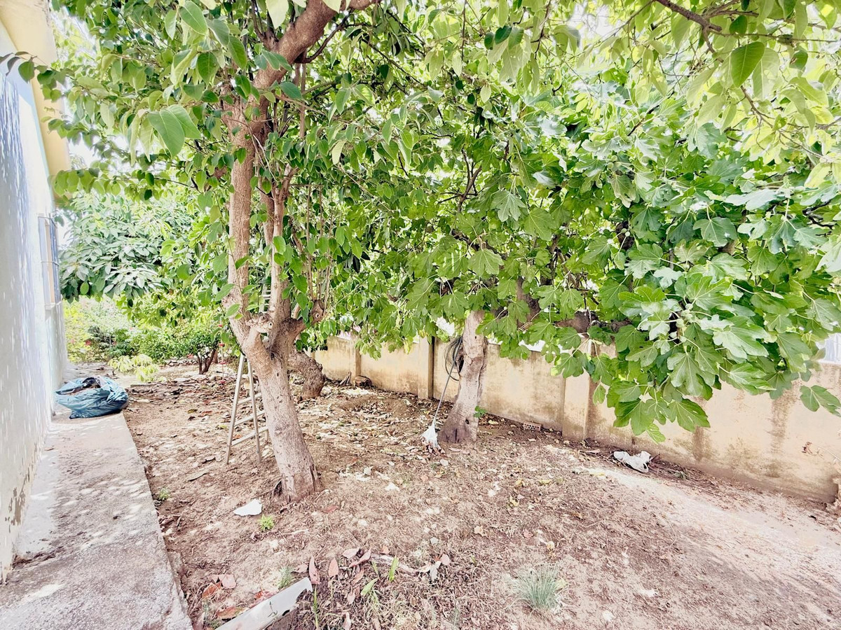 Detached Villa bilde 32