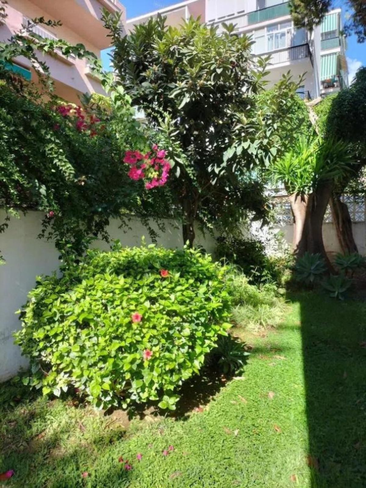 Middle Floor Apartment bilde 27