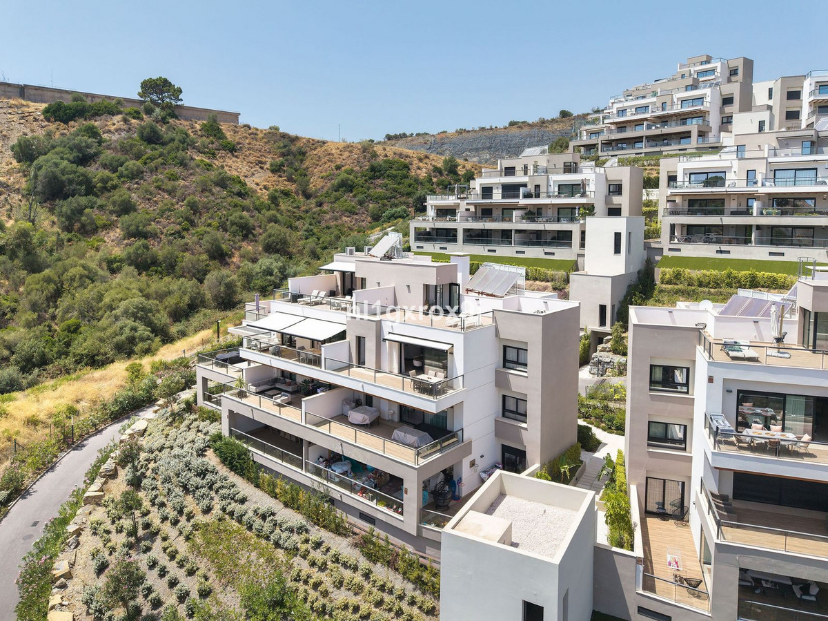 Penthouse bilde 5