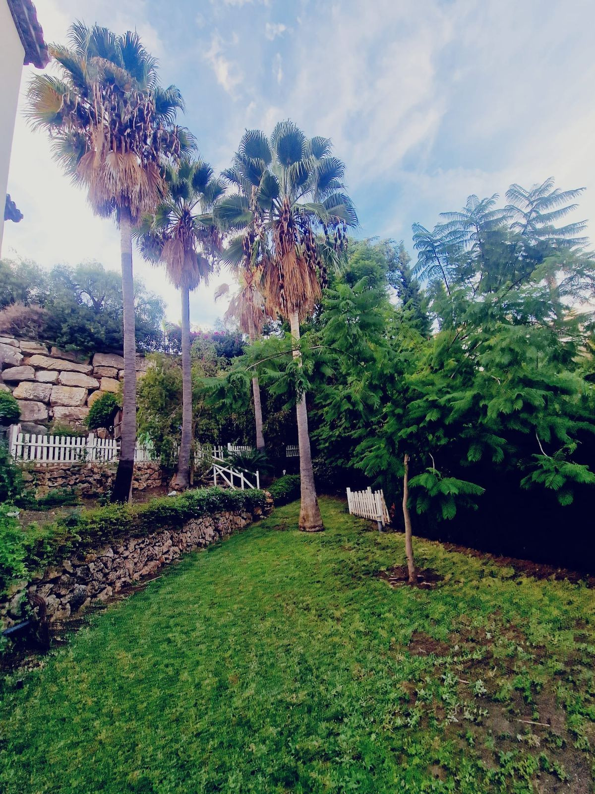 Detached Villa bilde 31