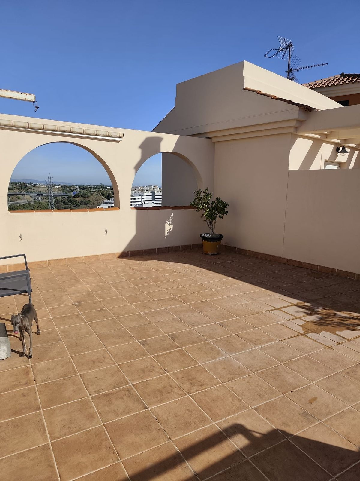 Penthouse bilde 21
