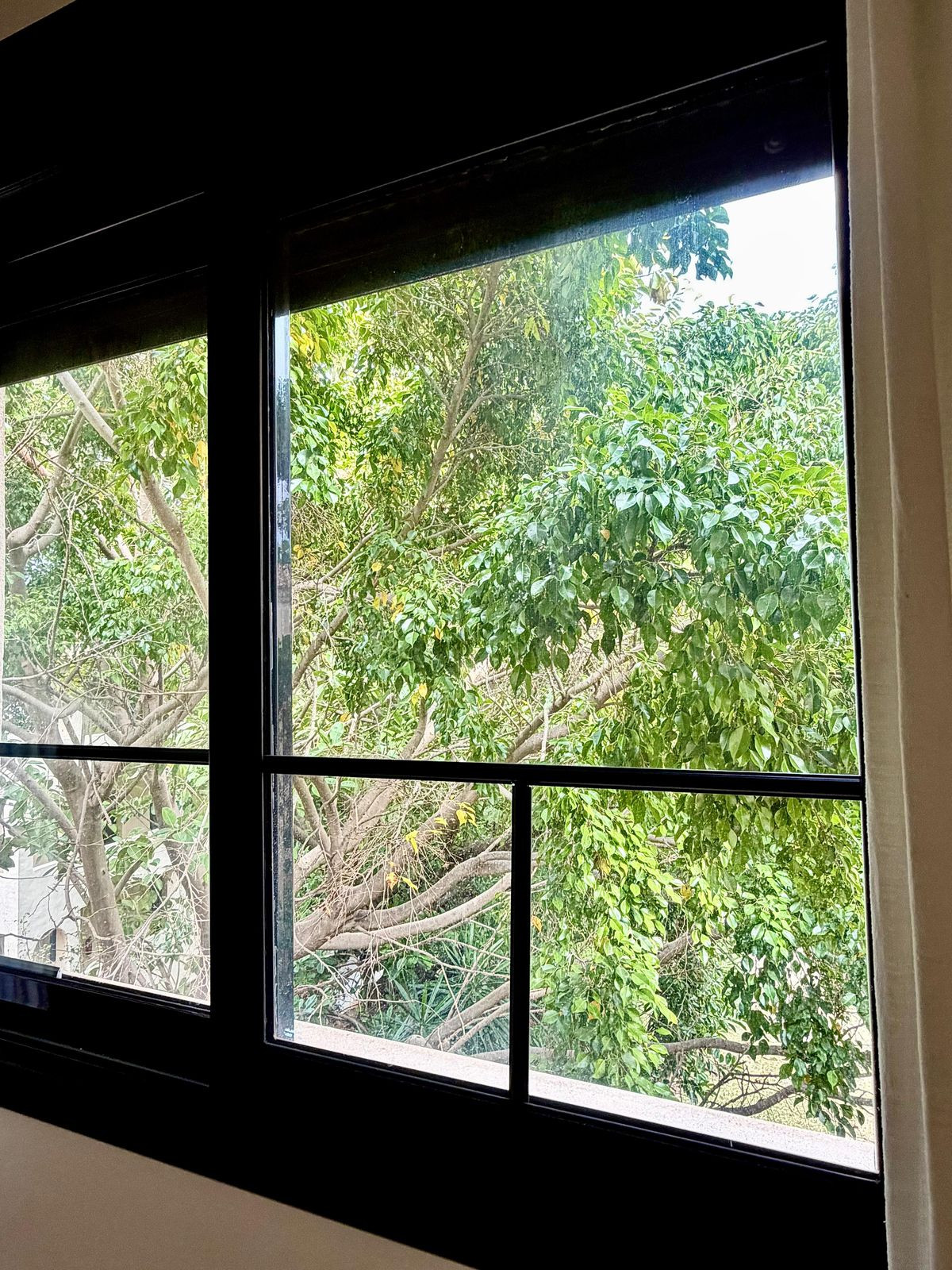 Top Floor Apartment bilde 44