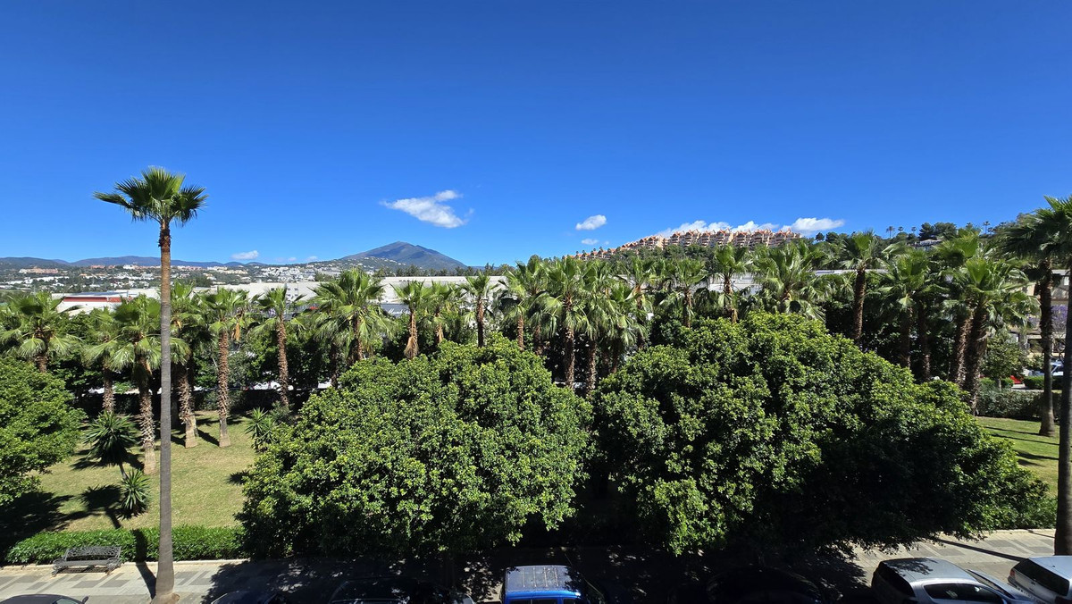 Middle Floor Apartment bilde 23