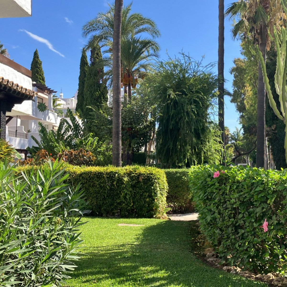 Ground Floor Apartment bilde 6