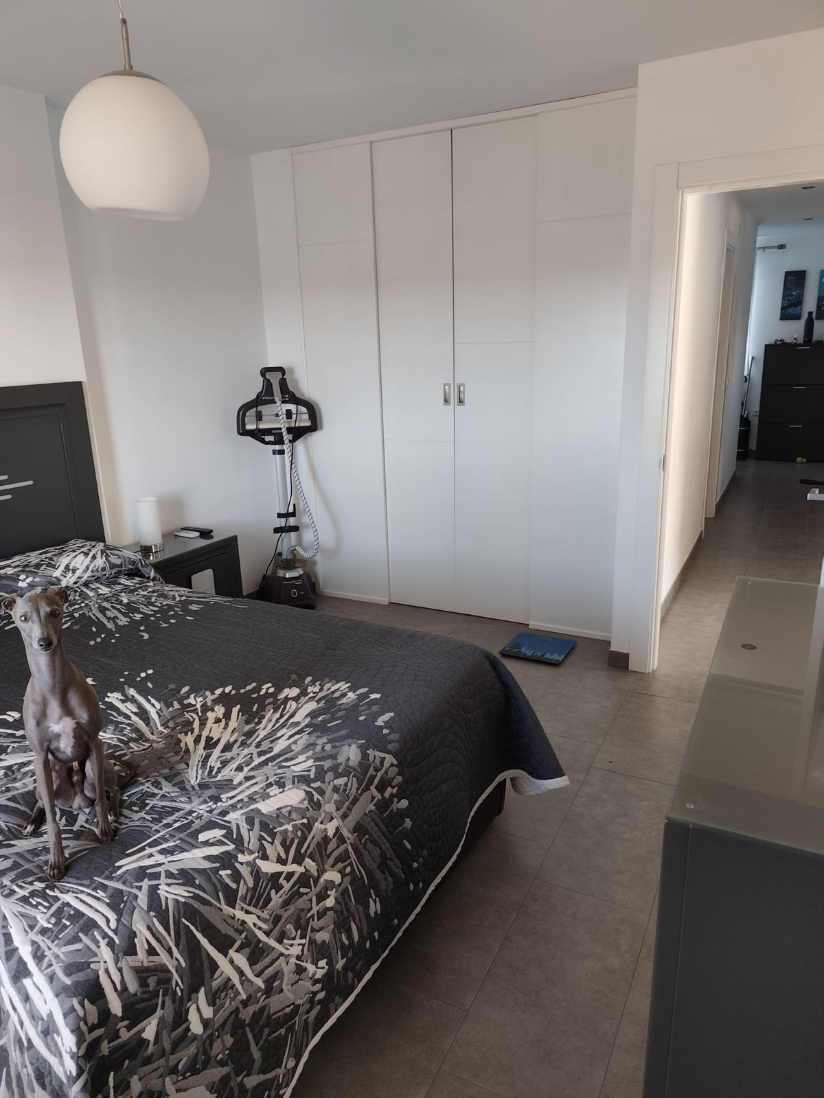 Penthouse bilde 5