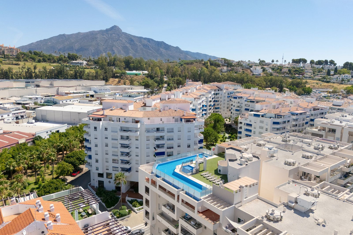 Penthouse bilde 26