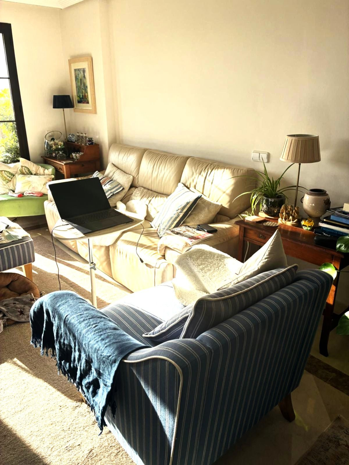 Penthouse bilde 20