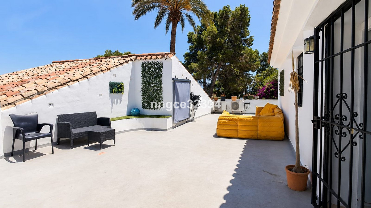Penthouse bilde 6