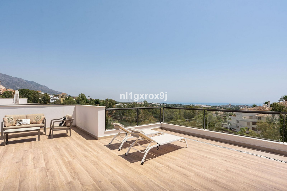Penthouse bilde 33