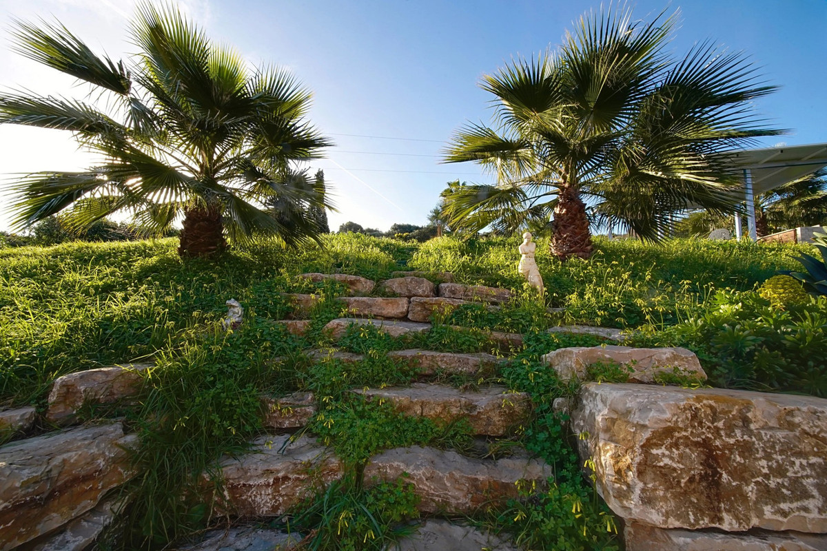 Detached Villa bilde 47