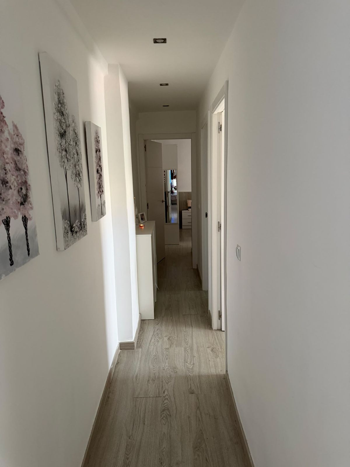 Middle Floor Apartment bilde 11