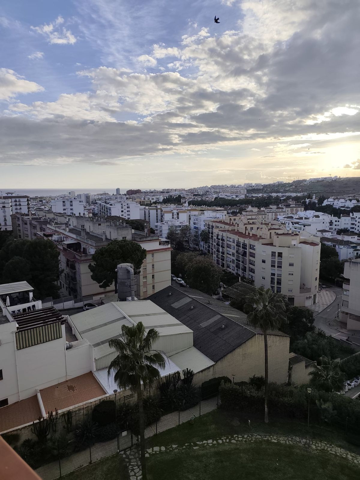 Penthouse bilde 23